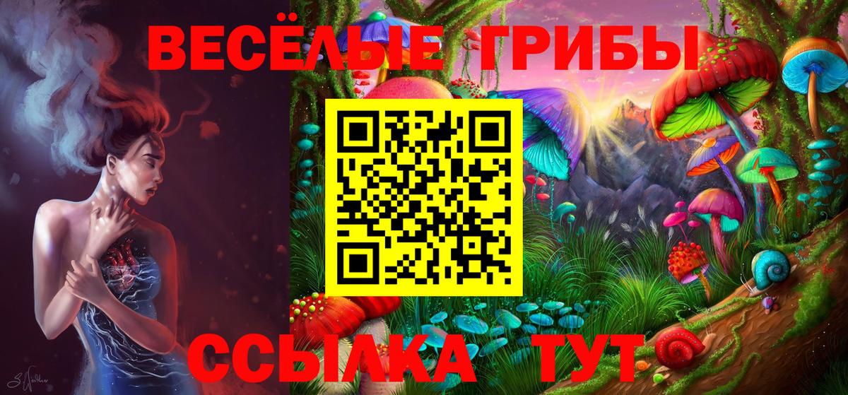 Псилоцибиновые грибы прущие грибы  Вход с VPN  Фролово  Галлюциногенные грибы Cubensis 