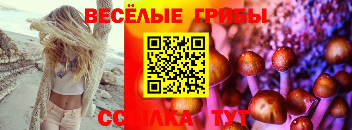 Псилоцибиновые грибы мицелий Фролово